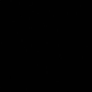 Meet your Posher, Selma